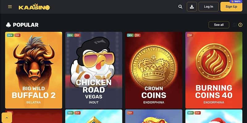Daily Cashback